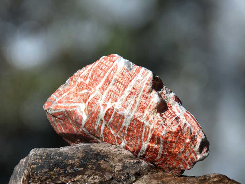 [Ein]stein #tirol.at-Nr.08