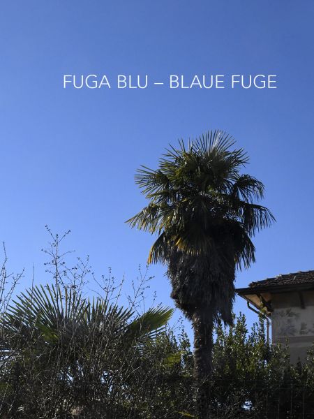 _DSC2748_Villa_Roatta Fuga Blu.jpg