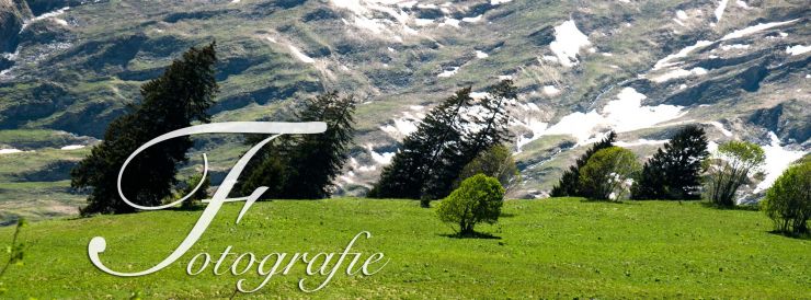 Gâteau Header Image