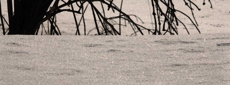 Contact Header Image